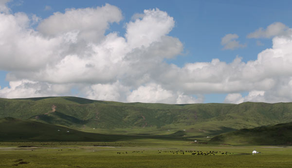 A Taste of Tibet