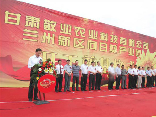 Fields of sunflowers star in Gansu