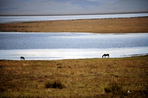 Gahai Lake (Gannan)