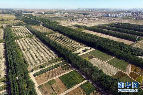 Gansu Jinchang: Flower city in North China