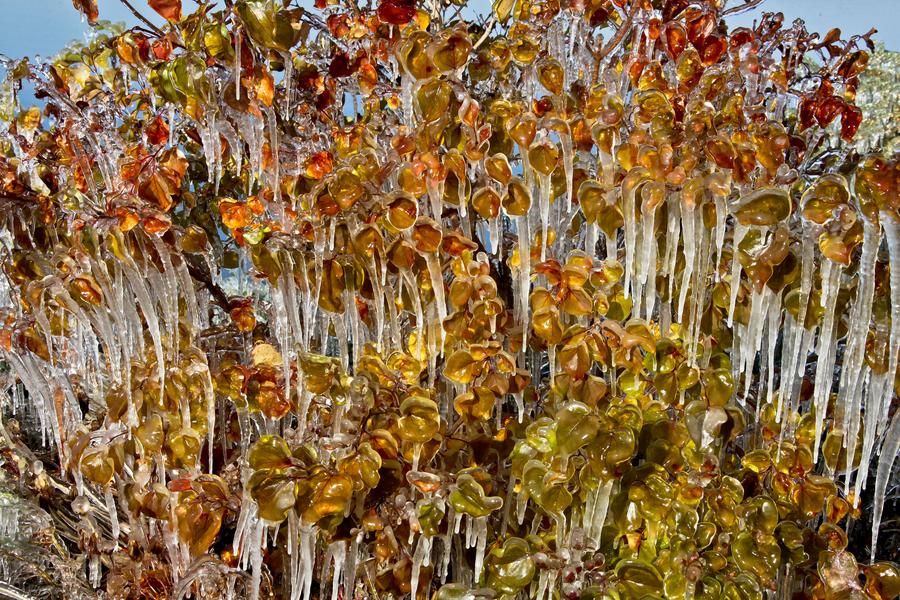 Icicles seen in NW China's Gansu