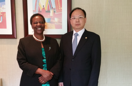 Chen Xiaohua calls on Energy and Mines Minister of Uganda