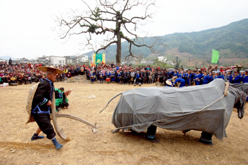 Zhuang look to frogs for fortune