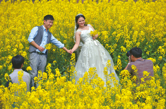 Flower season arrives in Guiyang