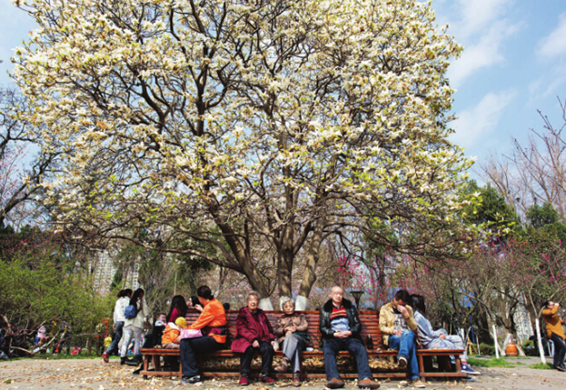 Flower season arrives in Guiyang