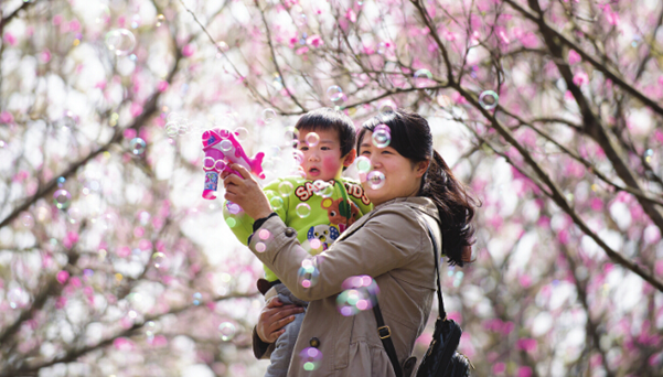 Flower season arrives in Guiyang