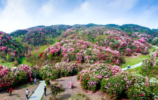 SW China tourism revenues for Tomb-sweeping holiday