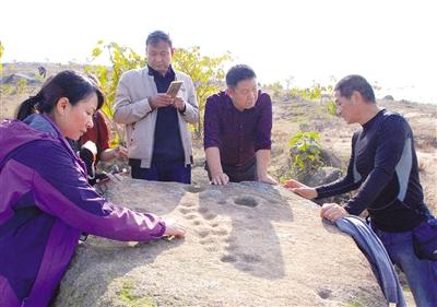 Petroglyphs in Nanyang reveal secrets of prehistoric civilization