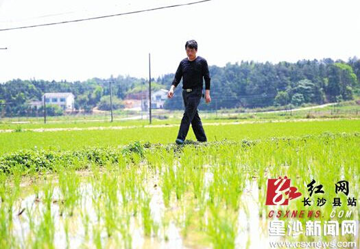 Farmers share agricultural machinery