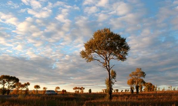 Dalinuo'er Lake Natural Ecological Reserve