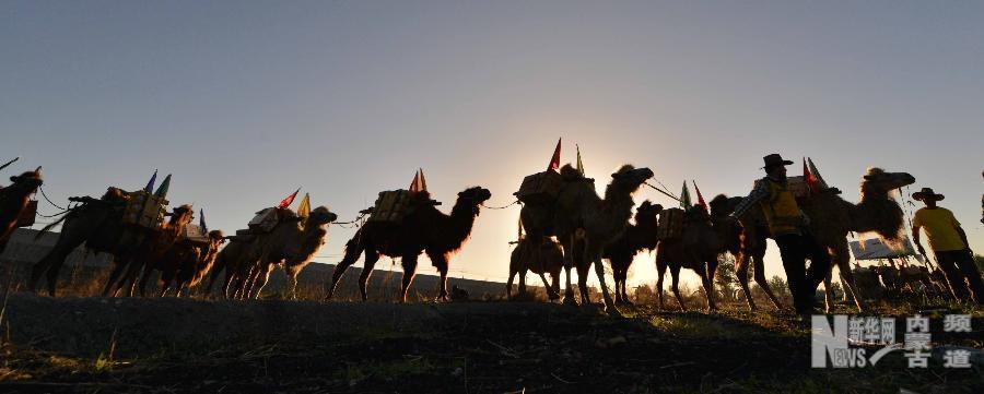 Inner Mongolia hails ‘Retrace of the Tea Road’ caravan