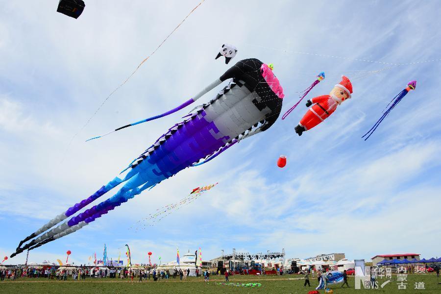 Kites fly high over grassland