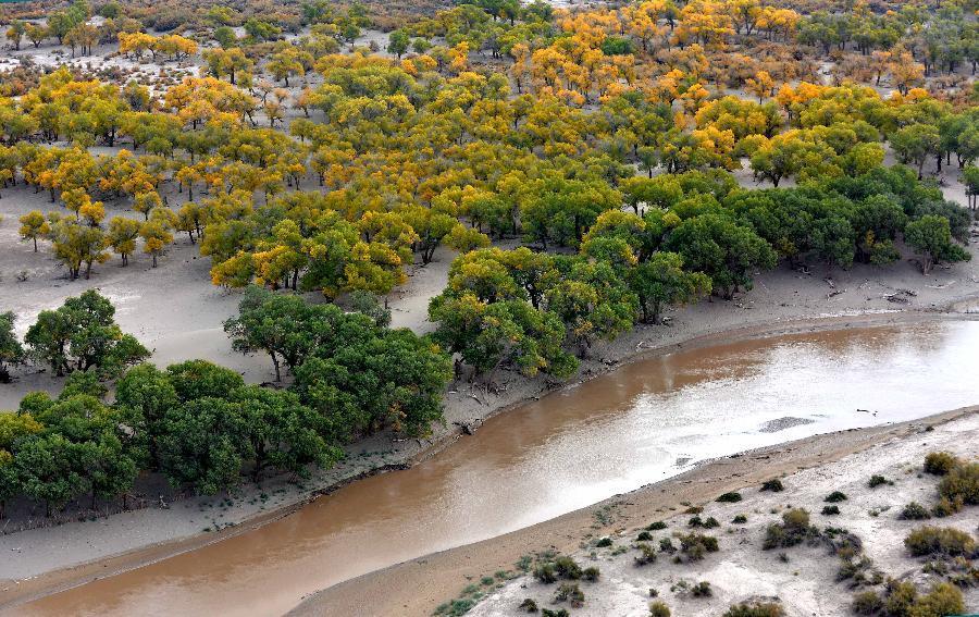 Scenery of Ejin Banner in Inner Mongolia