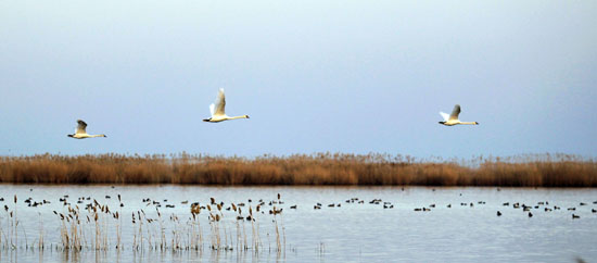 Ulansuhai Nur gets water refill