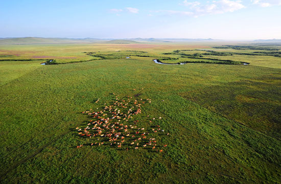 Grasslands protection in Inner Mongolia