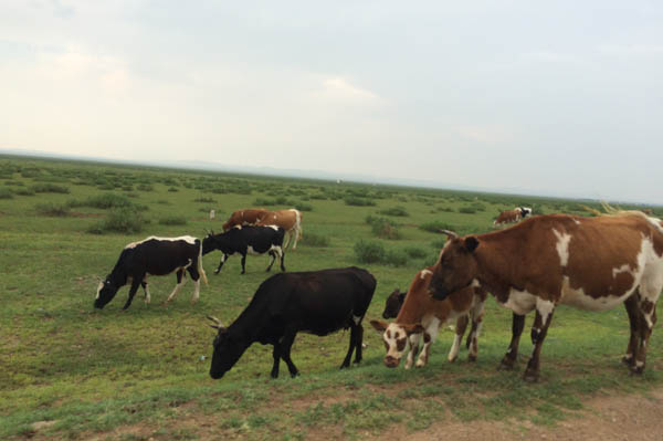 Journey to the silk road - Inner Mongolia autonomous region