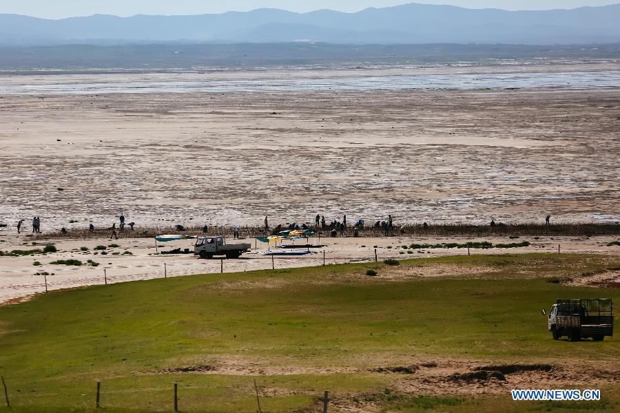 Volunteer work for controlling sandstorm sources kicks off in N China