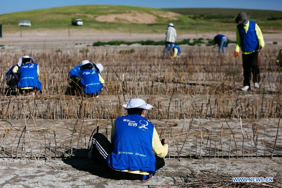 Volunteer work for controlling sandstorm sources kicks off in N China