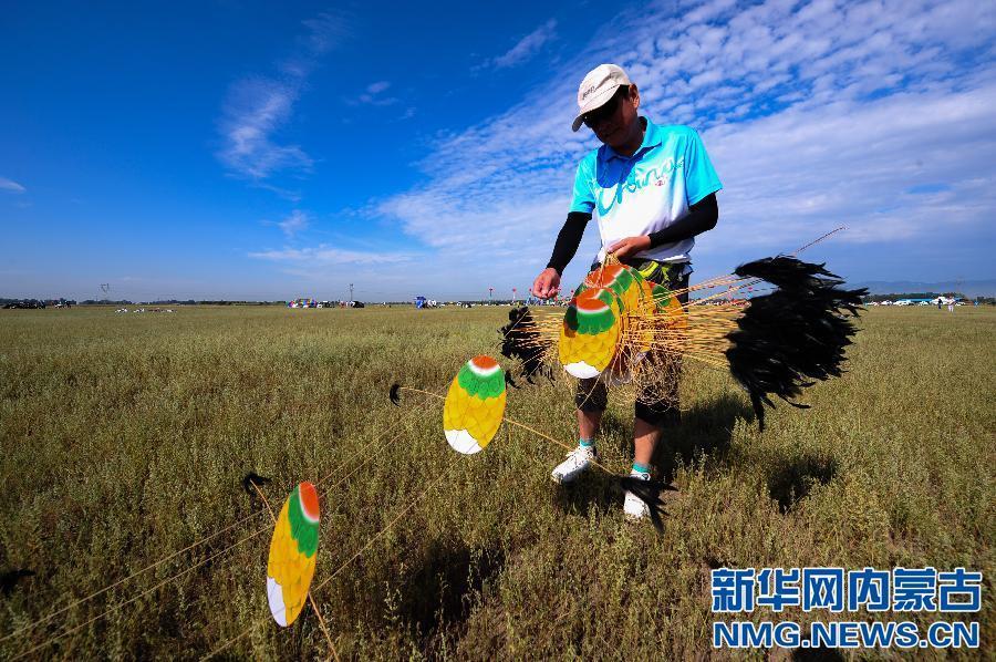 Kites flying high in Hohhot