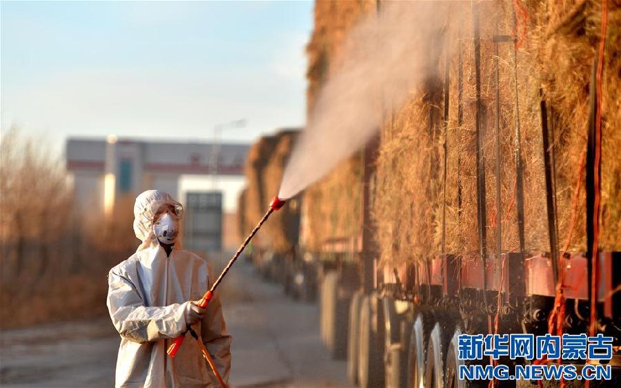 Imported forages arrive in Inner Mongolia