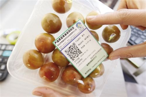 WeChat helps ensure food safety in North China