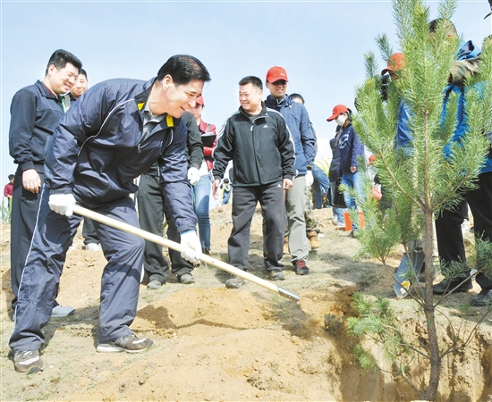 Massive tree-planting activity up north