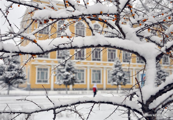 Snowfall hits Hulun Buir City, North China's Inner Mongolia