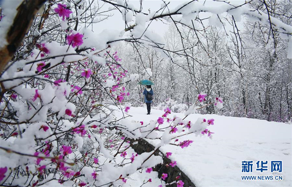 Inner Mongolia' s Greater Khingan Mountains see snow flying in May