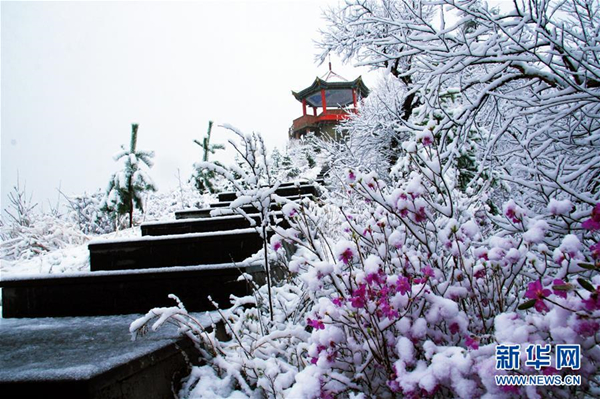 Inner Mongolia' s Greater Khingan Mountains see snow flying in May