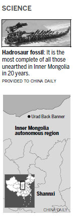 A rare dinosaur fossil is found in N. China