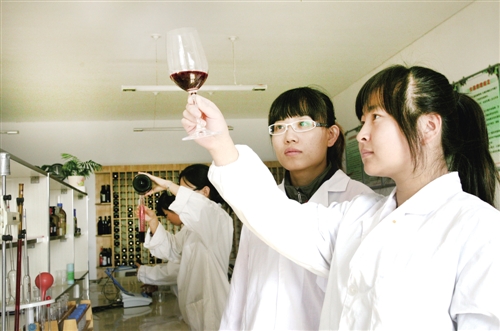 Wuhai- 'grape city' to uncork global wine market