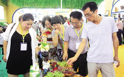 Wuhai- 'grape city' to uncork global wine market