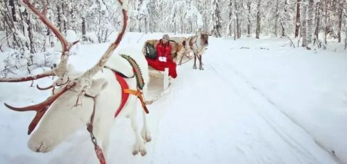 Meet Santa in Baotou