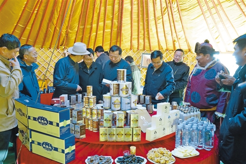 Alxa Right Banner: A camel town in the Gobi desert