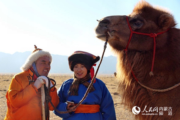 Race to make camel nose pegs, halters