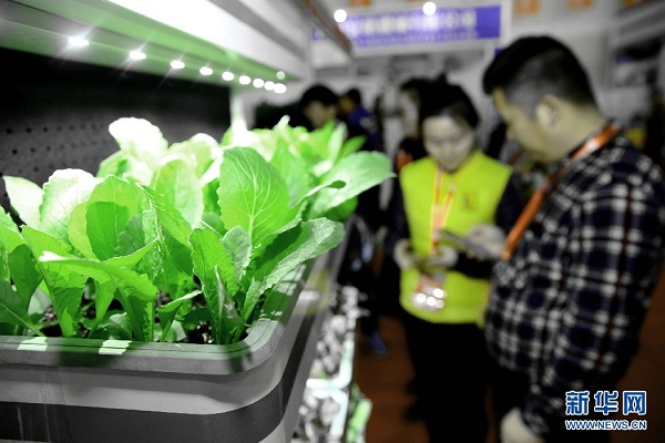 Inner Mongolia holds intl argriculture expo