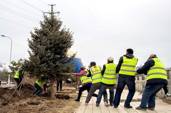 Hohhot plants trees to improve environment