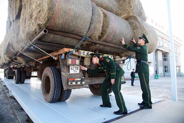 Mongolia’s forage grass exported to Hulunbuir