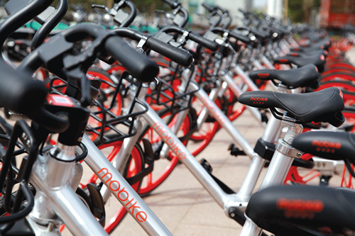 Shared bikes roll into Ordos