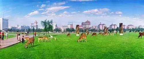 Baotou beckons E China tourists