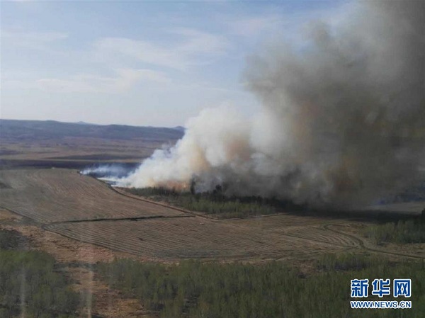 Blaze sweeps across Naji forest