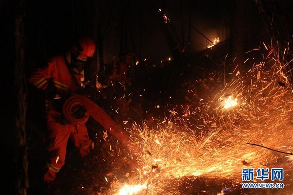 Blaze sweeps across Naji forest