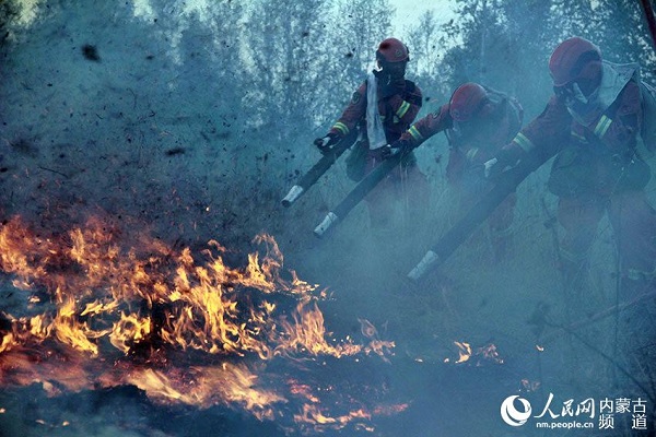 Over 4,000 firefighters battle forest fires