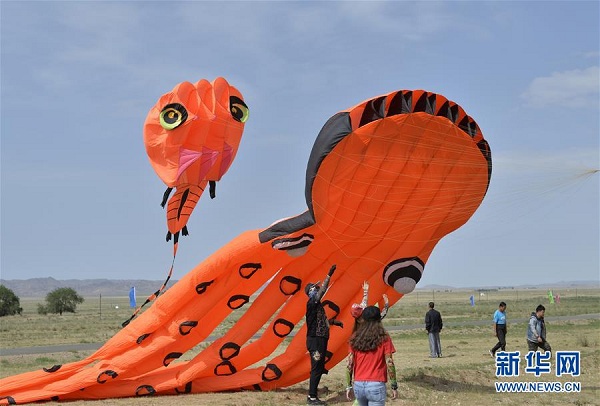 Kites fly over Urad grasslands