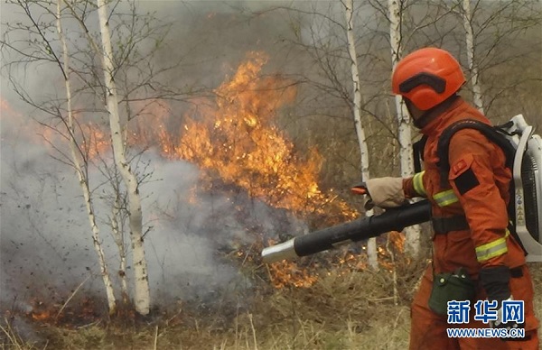 IM forests face new fire threat