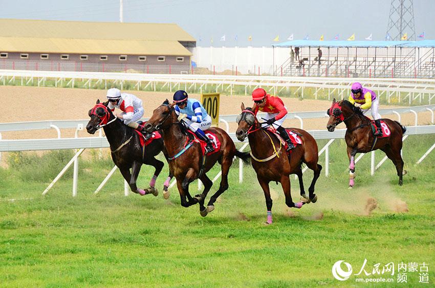 Horse racing held in Horqin grassland