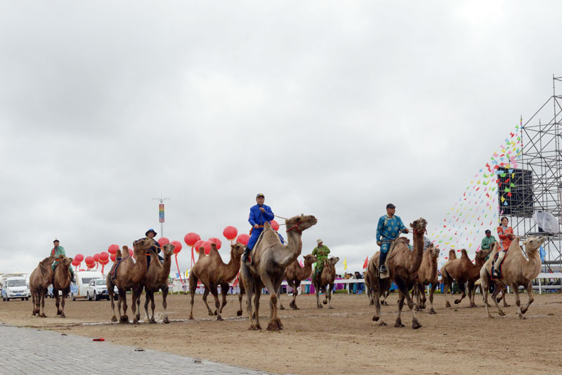 Nadam fair celebrated in Darhan Muminggan Joint Banner