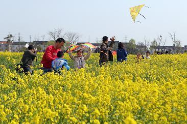 Flower viewing in Zhangpu town