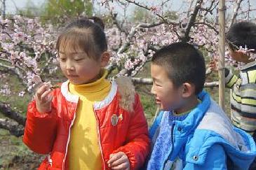 Flower viewing in Zhangpu town