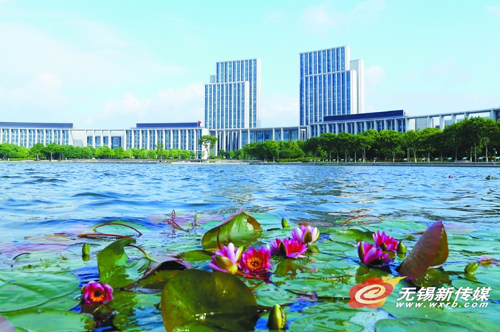 Early summer glitters in Wuxi